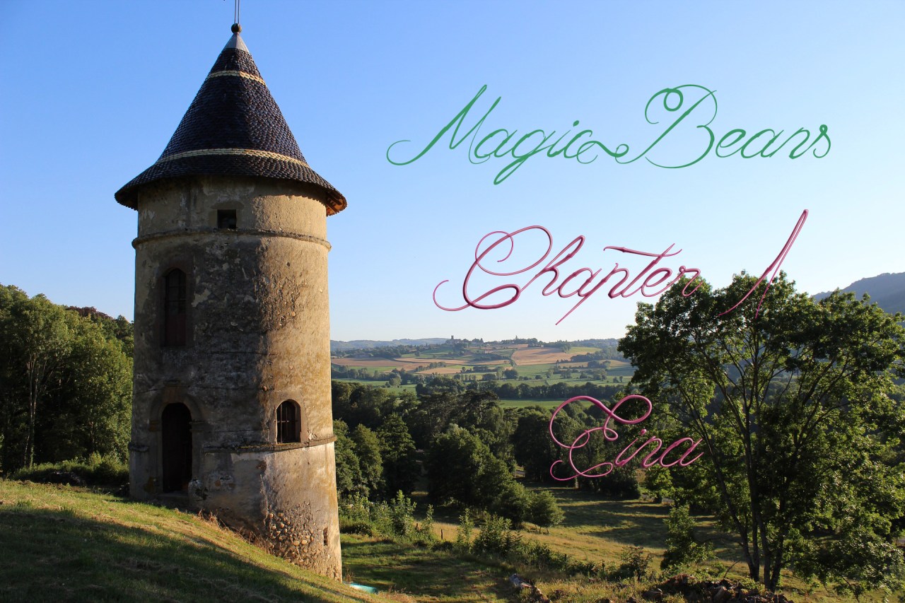 magicbeanstasterchapter1eina